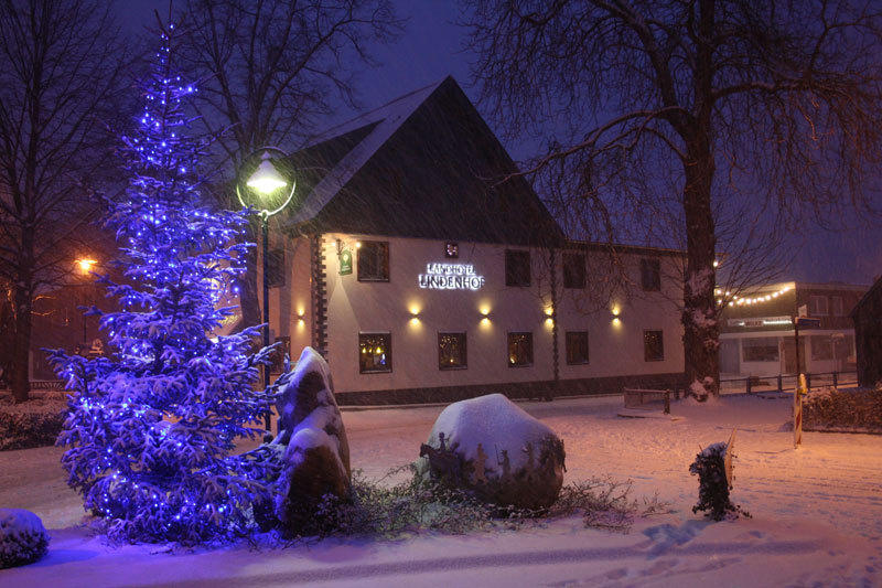 Landhotel Lindenhof Гревенброх Экстерьер фото